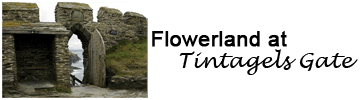 Flowerland At Tintagels Gate