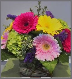Flowers By Steve, Inc.  Flower Delivery in Haverhill, MA